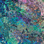 screen shot 2026 01 08 at 4.07.02 pm