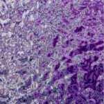 screen shot 2026 01 08 at 4.08.08 pm